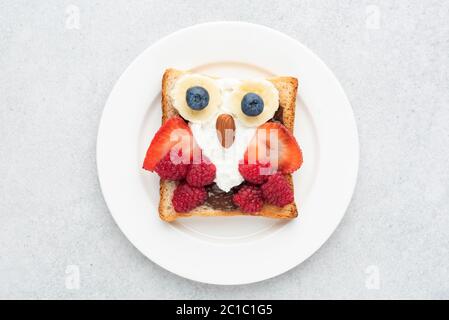 Art alimentaire petit déjeuner hibou toast pour les enfants avec tartiner aux noix de chocolat, fromage à la crème et baies. Vue de dessus isolée sur fond gris Banque D'Images