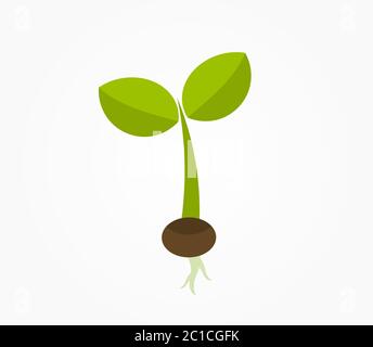 Planter le semis en croissance à partir de l'icône de semences. Illustration vectorielle. Illustration de Vecteur