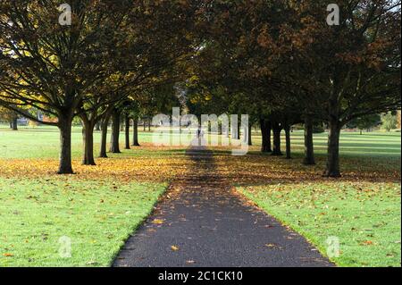 The South Inch, Perth, Écosse en automne Banque D'Images