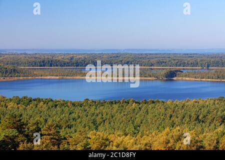 Vue sur Priesterbäker Voir / Lac Priesterbaek, Parc national de Müritz / Parc national de Mueritz en fin d'été / automne, Mecklembourg-Poméranie-Occidentale, Allemagne Banque D'Images