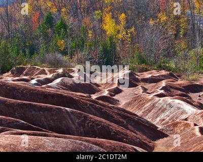 Le sol rouge des Badlands de Cheltenham, situé à Caledon, Ontario, Canada. Banque D'Images