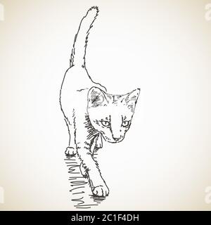 Esquisse de chat, illustration dessinée à la main Vector, isolée Illustration de Vecteur