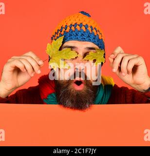 Idée de l'heure d'octobre et de novembre. Concept automne et temps froid. L'homme en chapeau tient les feuilles d'érable vert sur fond orange, espace de copie. La taille basse avec barbe et visage surprise ferme les yeux avec la feuille Banque D'Images