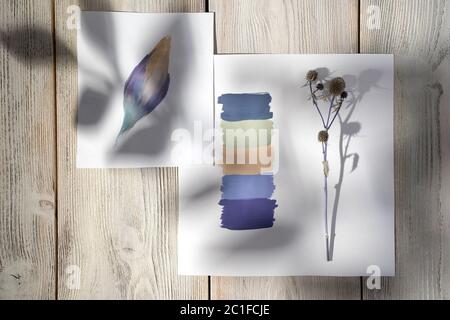Une palette de couleurs avec des échantillons de fleurs prélevés sur une plante séchée et affichant ces couleurs dans le dessin Bud. À l'ombre d'un son feuillu Banque D'Images