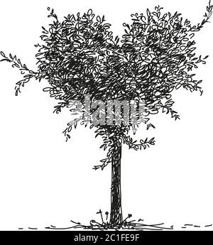 Esquisse de la forme du coeur de l'arbre, illustration dessinée à la main Illustration de Vecteur