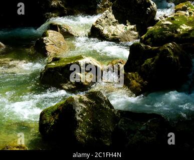 Ruisseau de montagne avec pierres et eau froide de glace claire Banque D'Images