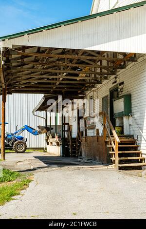 H O Andrews Feed Mill, Mapleton Farm and Garden, 175, promenade Feed Mill, Mapleton, PA Banque D'Images