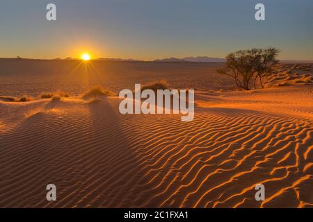 Dernier soleil du jour sur la dune Banque D'Images