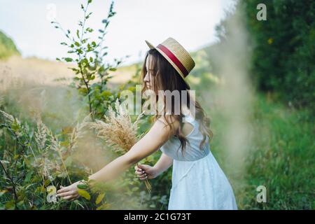 Belle fille dans un conseil et chapeau recueille des fleurs. La fille recueille un bouquet de fleurs séchées. Brunette fille parmi la grande herbe verte Banque D'Images