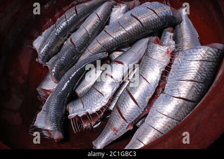 Des sardines fraîches coupées à la tête et préparées pour cuisiner de la sauce et des frites maison au kerala du sud de l'inde Banque D'Images