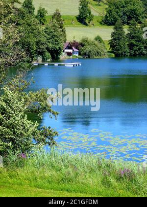Lac idyllique avec roseaux et forêt sur la rive et avec des nénuphars dans le sud de l'Allemagne Banque D'Images