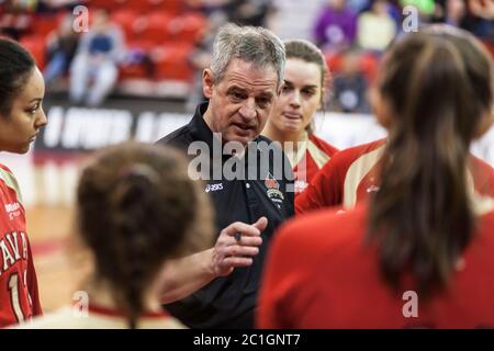 Équipe Volleyball femme joueur Laval Rouge et Or - entraîneur, entraîneur Banque D'Images