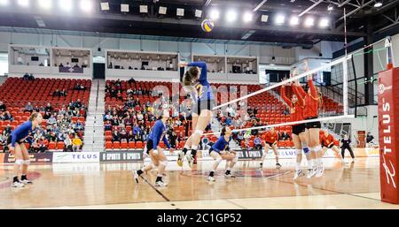 Femme de volley-ball joueur Laval Rouge et or vs Caravins de Montréal - Smash Banque D'Images