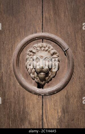Grille de porte en fonte avec tête de lion Banque D'Images