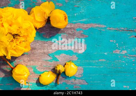 Fleurs de coton en soie jaune sur une table en bois Banque D'Images