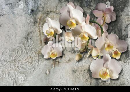 papier peint 3d, bouquet d'orchidées sur dentelle et mur en béton texturé. Effet de peintures murales. Banque D'Images