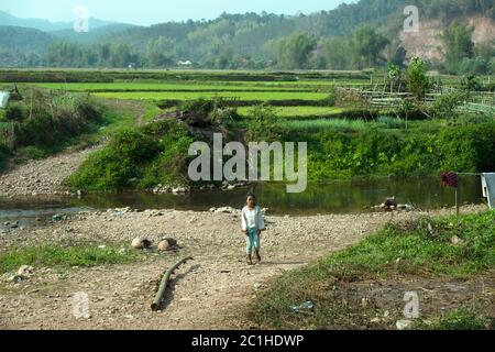 Une femme indigène et ethnique du barrage Tai près du ruisseau dans son village de la province de Luang Namtha, au nord du Laos. Banque D'Images