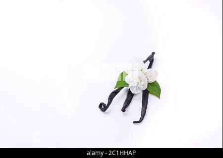 Bâtonnets de vanille doux avec fleurs sur fond blanc. Les ingrédients pour l'aromathérapie Banque D'Images