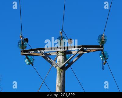 Lignes électriques aériennes avec disques isolants en verre bleu et fond ciel bleu clair Banque D'Images