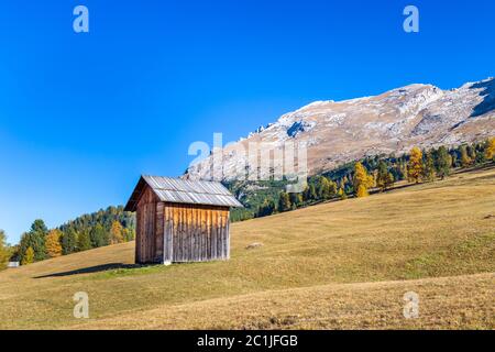 Cabane sur Prato Piazza en face du Mont Duerrenstein, Dolomites, le Tyrol du Sud Banque D'Images