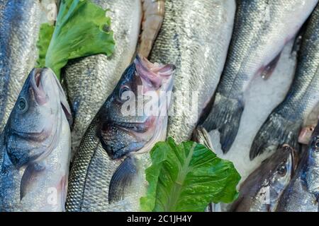 Des fruits de mer sur glace au marché de poissons Banque D'Images