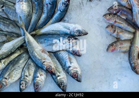 Des fruits de mer sur glace au marché de poissons Banque D'Images