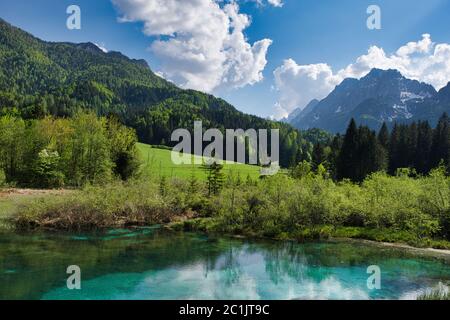 La source de la rivière Save en Slovénie. Magnifique lac et environs, image paysage. Banque D'Images