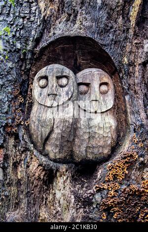 Chouettes sculptées en bois sur une souche d'arbre Banque D'Images