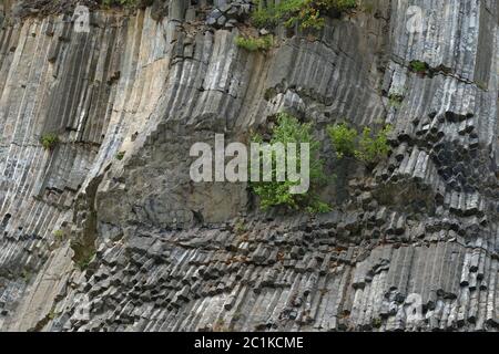 Roche de basalte. Détail, géologique. ZlatÃ½ vrch. Banque D'Images