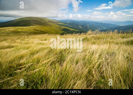 Paysage de Borzhava Ridge de la chaîne des Carpates ukrainiennes. Nuages au-dessus de Carpates Banque D'Images