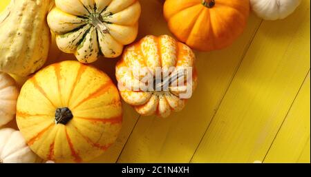 Tas de citrouilles mûrs Banque D'Images