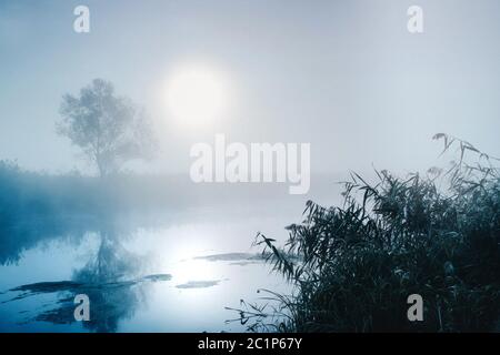 Mystique spectaculaire paysage crépusculaire avec soleil levant, arbre, Reed et brouillard sur l'eau. Banque D'Images