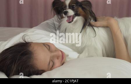 Papillon chien se réveille dans le lit fille ado Banque D'Images