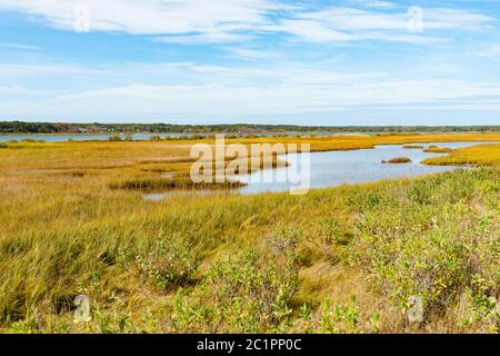 Marais de Sengekontake Pond sur Martha's Vineyard, Nerw, Angleterre, États-Unis. Banque D'Images