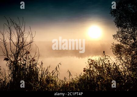 Mystique spectaculaire paysage crépusculaire avec soleil levant, arbre, Reed et brouillard sur l'eau. Banque D'Images