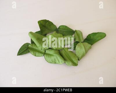 Feuilles de chaux de kaffir séchées sur une planche en bois Banque D'Images