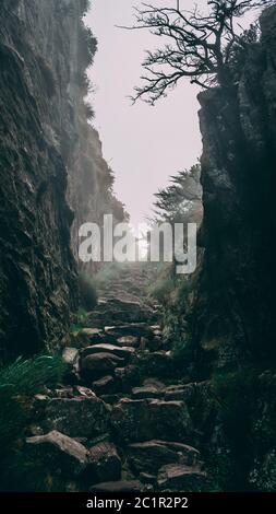 Dernier escalier de la randonnée Table Mountain, le Cap, Afrique du Sud Banque D'Images