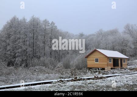 Un pittoresque arbres d'hiver couverts de neige et de givre Banque D'Images