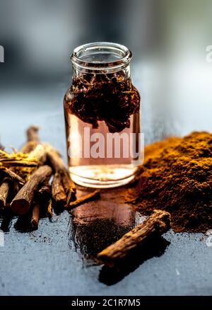 Pâte de plaie à guérison rapide composée d'herbes naturelles ayurvédiques, c'est-à-dire Revand chini bien mélangé avec de l'eau de rose et du miel. Photo de Revand chini Roots, po Banque D'Images