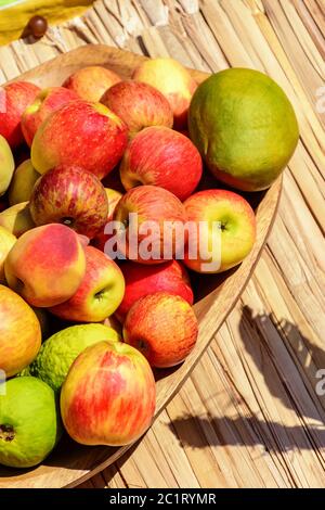 Divers fruits tropicaux sous la lumière du soleil Banque D'Images