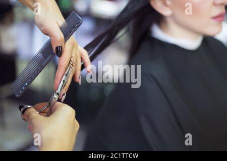 Coiffeur coupant les cheveux du client dans le salon de beauté. Concept de beauté. Banque D'Images