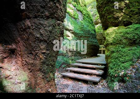 Sentier de randonnée pédestre à travers les gorges de Dragon au pied de la Wartburg près d'Eisenach en Thuringe Banque D'Images