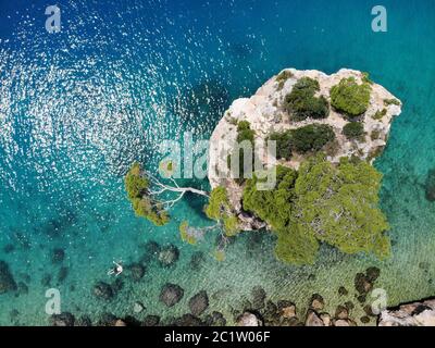 Split Rock, Croatie. Rocher couvert d'arbres près de Makarska Riviera Côte. Banque D'Images