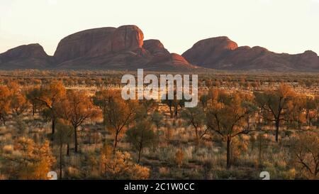 Close up de Kata Tjuta en Australie dans le territoire du nord au lever du soleil Banque D'Images