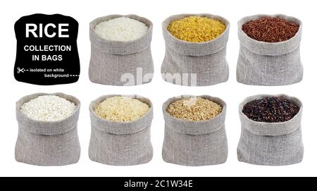Récolte de riz isolée sur fond blanc. Différents types de riz en sachets. Banque D'Images