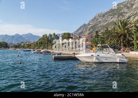 KOTOR, MONTÉNÉGRO - 12 AOÛT 2016 : vue sur le front de mer de Kotor en été. Montrer les yachts, les bateaux et les bâtiments. Banque D'Images