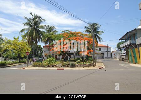 Petit parc avec arbre de feu à Andoany / Hell-ville City Centre Square, Madagascar. Banque D'Images