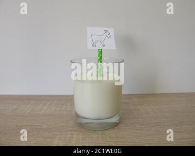 Un verre de lait de chèvre frais Banque D'Images