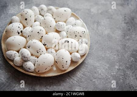 Composition des oeufs de Pâques en pointillé blanc traditionnel en blanc plaque en céramique Banque D'Images