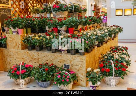 Concept fleuriste. Gros plan beau bouquet de fleurs sur table en bois. Composition des fleurs. Backgroun abstrait Banque D'Images
